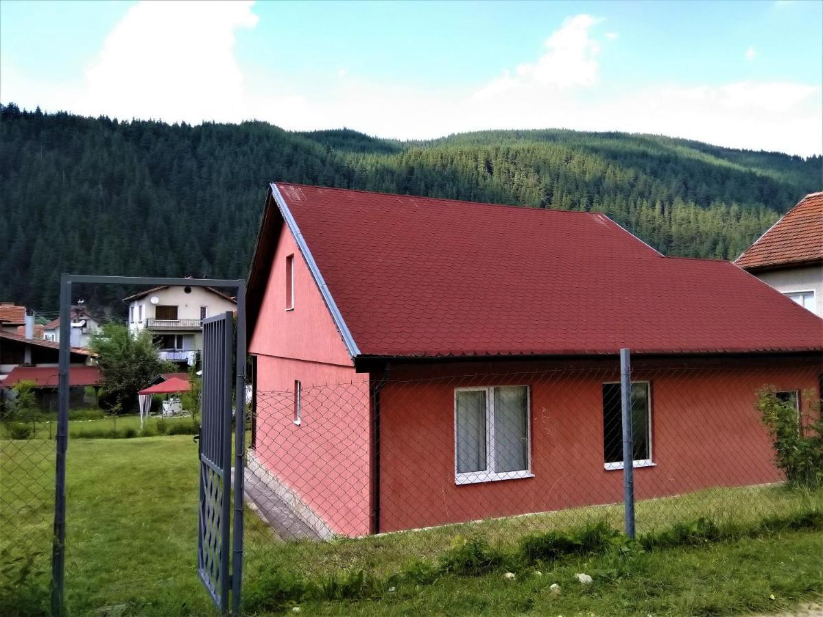 Villa Irina - Govedartsi Exterior photo